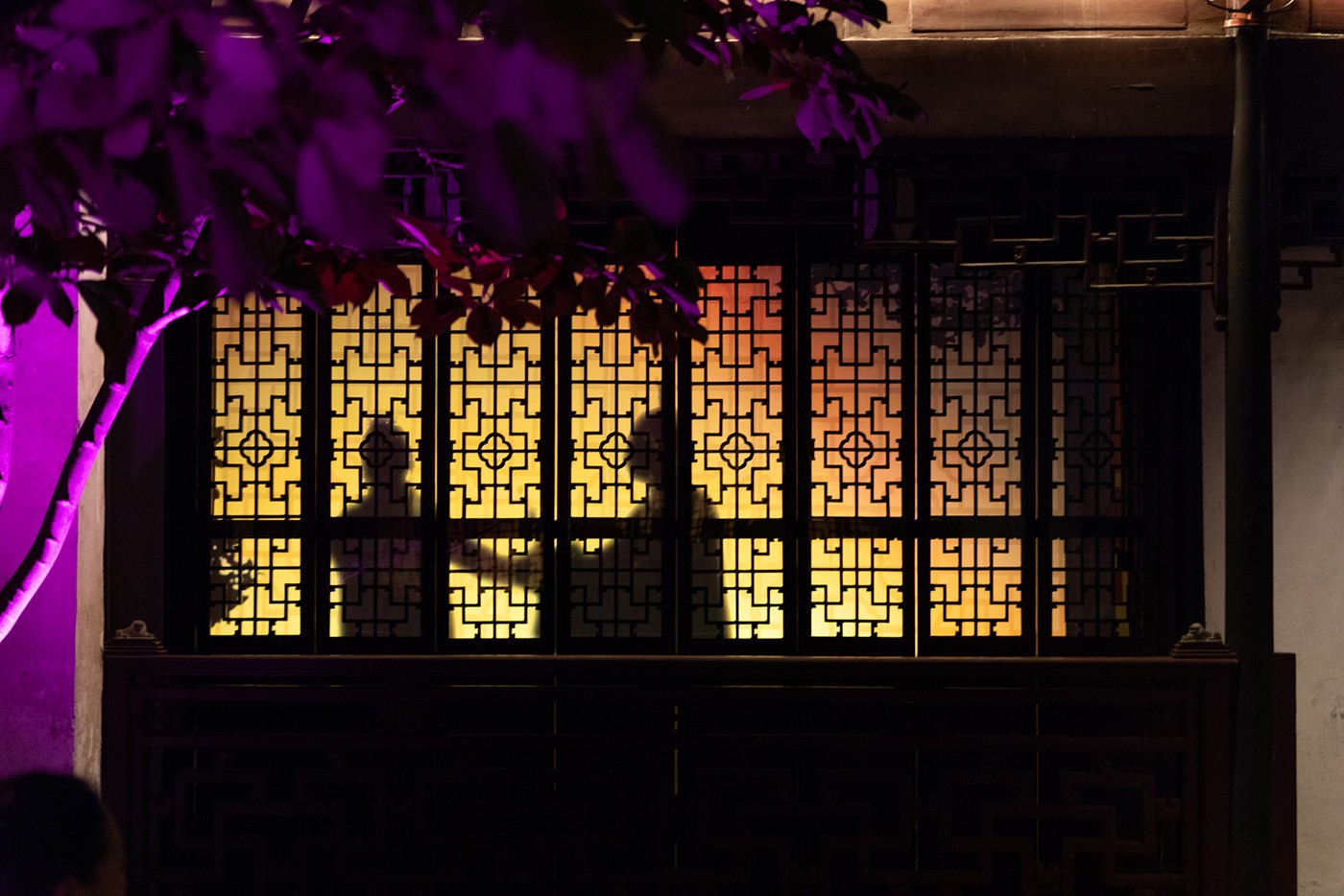 張廳有(yǒu)戲 (8).jpg