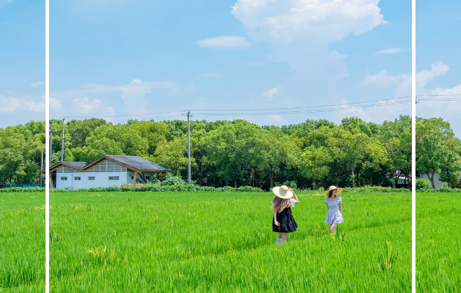 秋遊計(ji)劃 | 香村趣野，有(yǒu)機(jī)田園