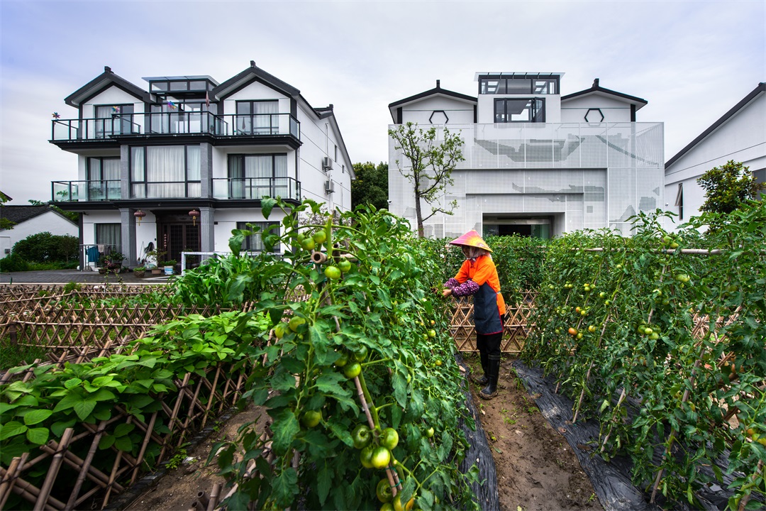 20190702-香村-外景 (3).jpg